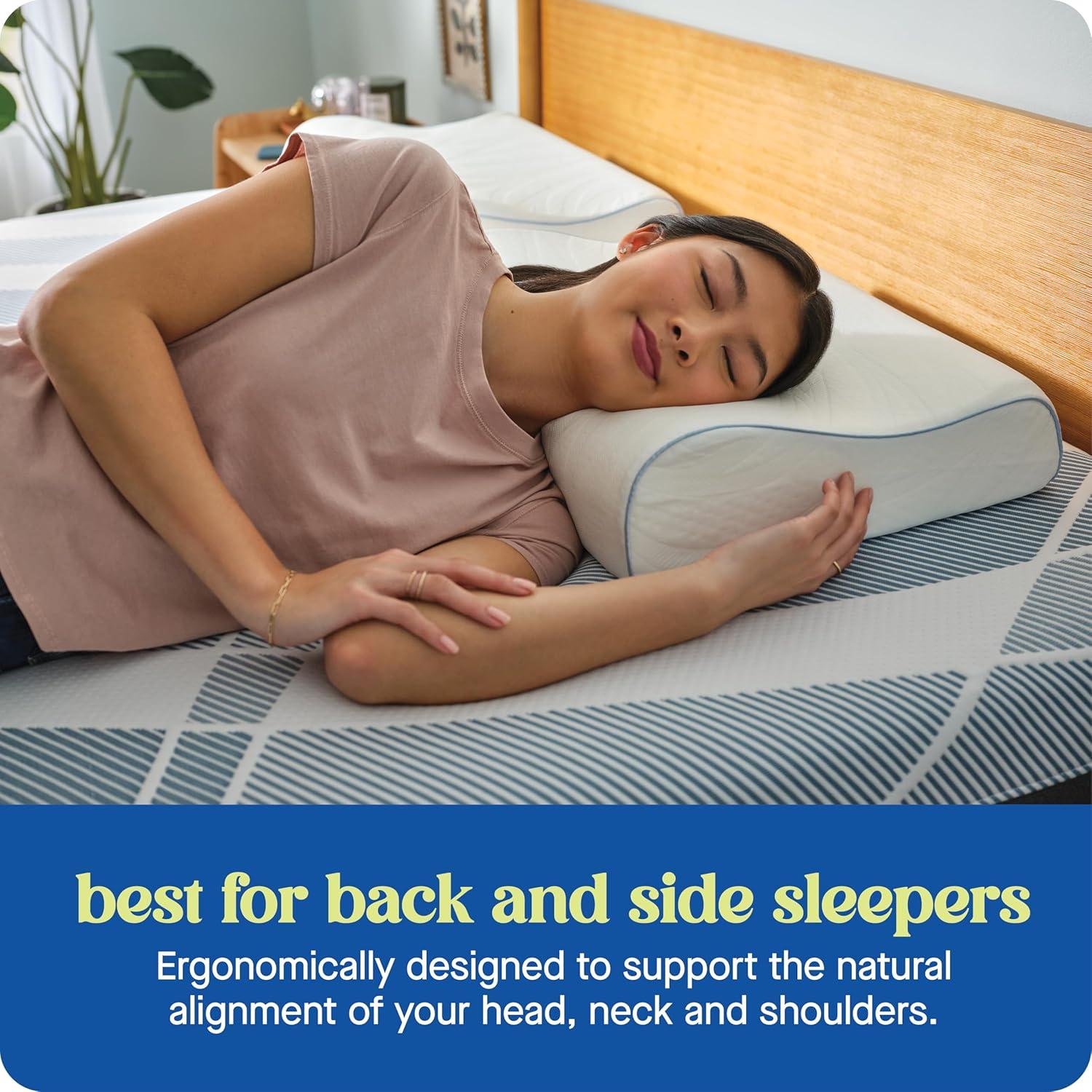 imageSEALY Dreamlife Standard Size Contour Memory Foam Pillow with Surface Guard Technology Removable MachineWashable Cover 1 Year Limited Warranty