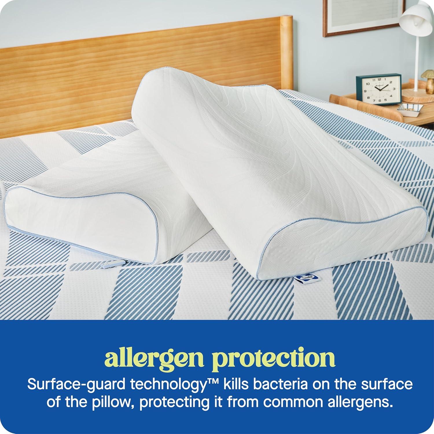 imageSEALY Dreamlife Standard Size Contour Memory Foam Pillow with Surface Guard Technology Removable MachineWashable Cover 1 Year Limited Warranty