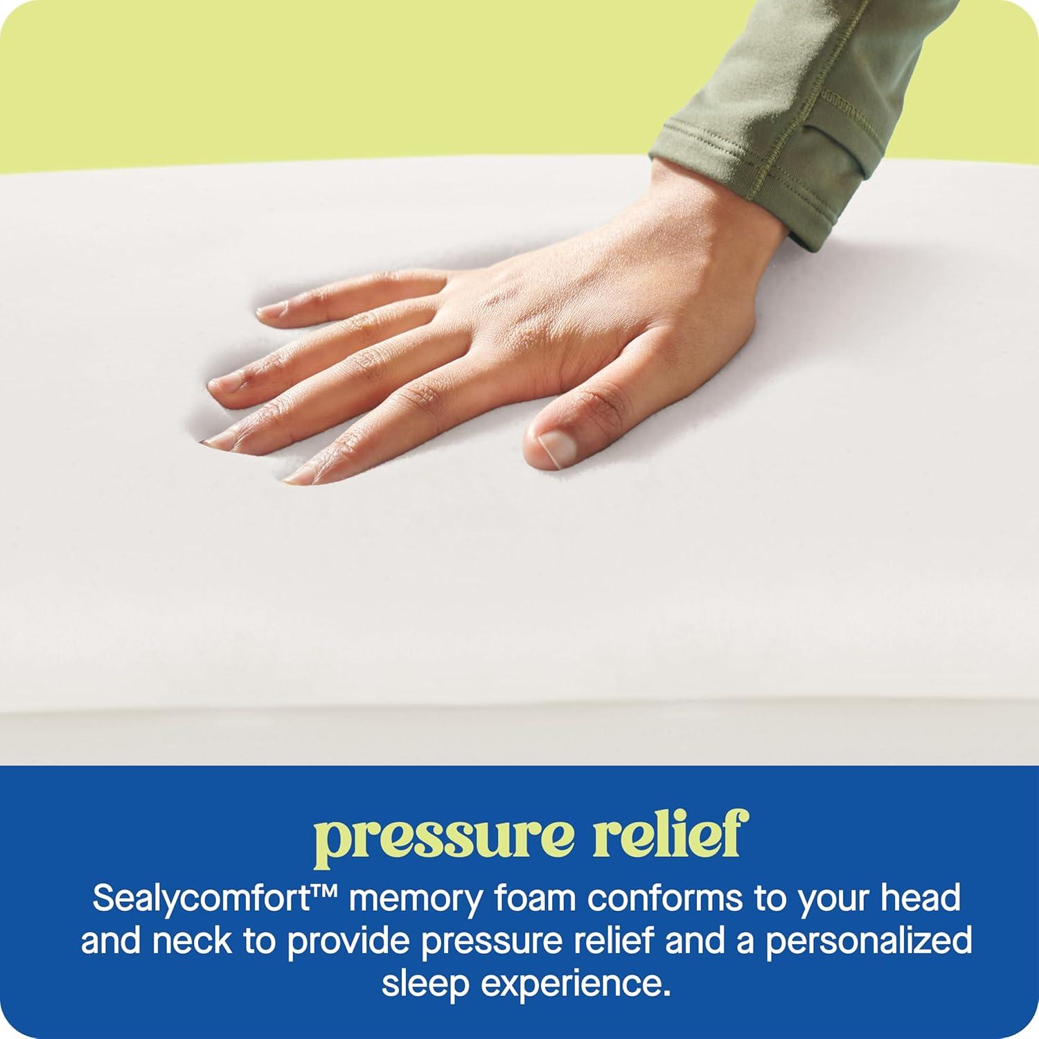 imageSEALY Dreamlife Standard Size Contour Memory Foam Pillow with Surface Guard Technology Removable MachineWashable Cover 1 Year Limited Warranty