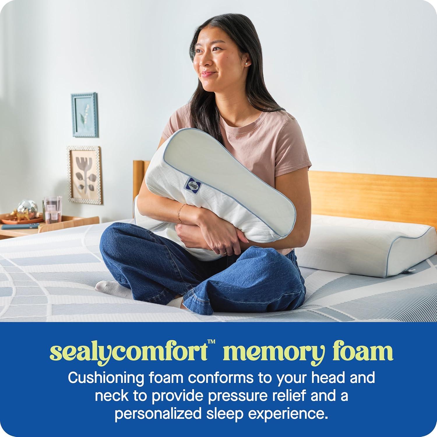 imageSEALY Dreamlife Standard Size Contour Memory Foam Pillow with Surface Guard Technology Removable MachineWashable Cover 1 Year Limited Warranty