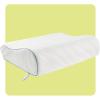 imageSEALY Dreamlife Standard Size Contour Memory Foam Pillow with Surface Guard Technology Removable MachineWashable Cover 1 Year Limited Warranty