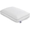 Standard/Queen (Pack of 1)