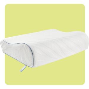 SEALY Dreamlife Standard Size Contour Memory Foam Pillow with Surface Guard Technology, Removable Machine-Washable Cover, 1 Year Limited Warranty