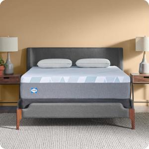 Sealy Dreamlife 14” Foam Mattress-in-a-Box, Queen, SealyComfort Gel Memory Foam, SealySupport Transition Foam, Machine Washable Cover(12″)