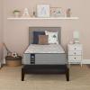 Posturepedic Soft
