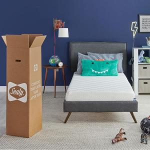 Sealy 8 Inch Queen Size Foam Bed in a Box, Multiple Layers of Foam Help Support Sleep at Night, Firm Feel and CertiPur-US Certified, King(Onyx)